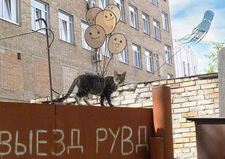 Кошка