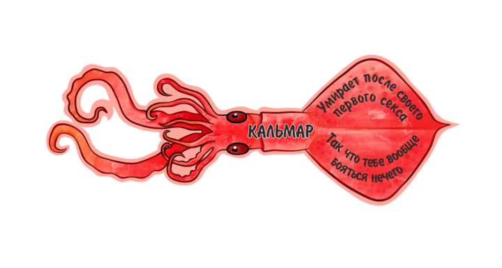 Кальмар
