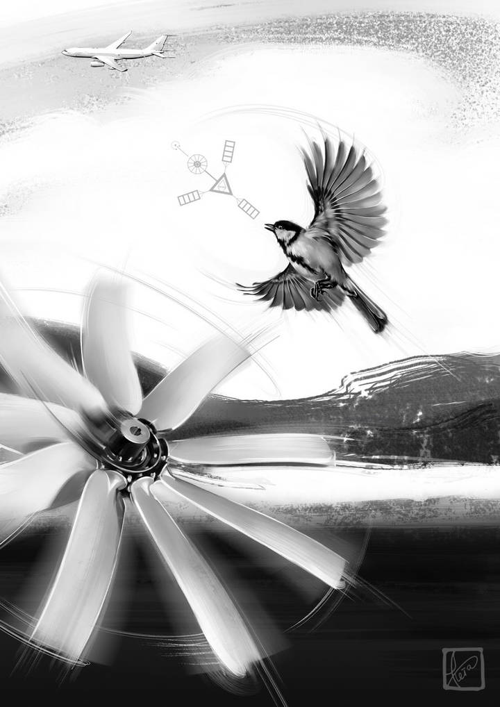 BIRD ~ FAN